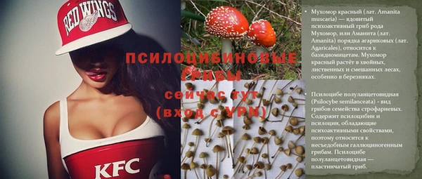 мяу мяу мука Белоозёрский
