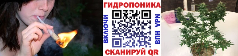 Конопля Amnesia  Купить  Волосово 